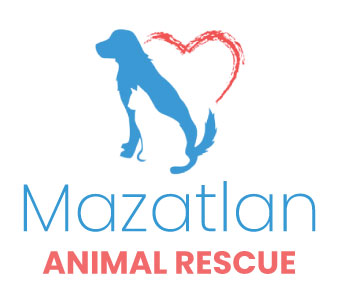 Mazatlan Animal Rescue