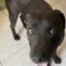 Doby