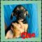 Cloe