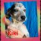 Kiki