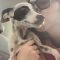 Dotty